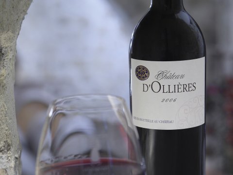 chateau dollieres 18